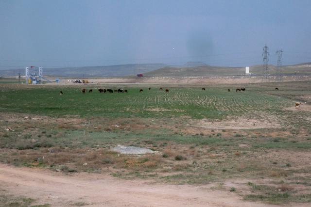 Siirt Mardin