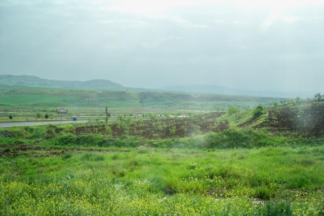 Siirt Mardin